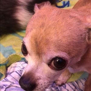 Meet your Posher, Tracy